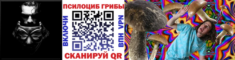 Псилоцибиновые грибы Psilocybine cubensis  Саянск 